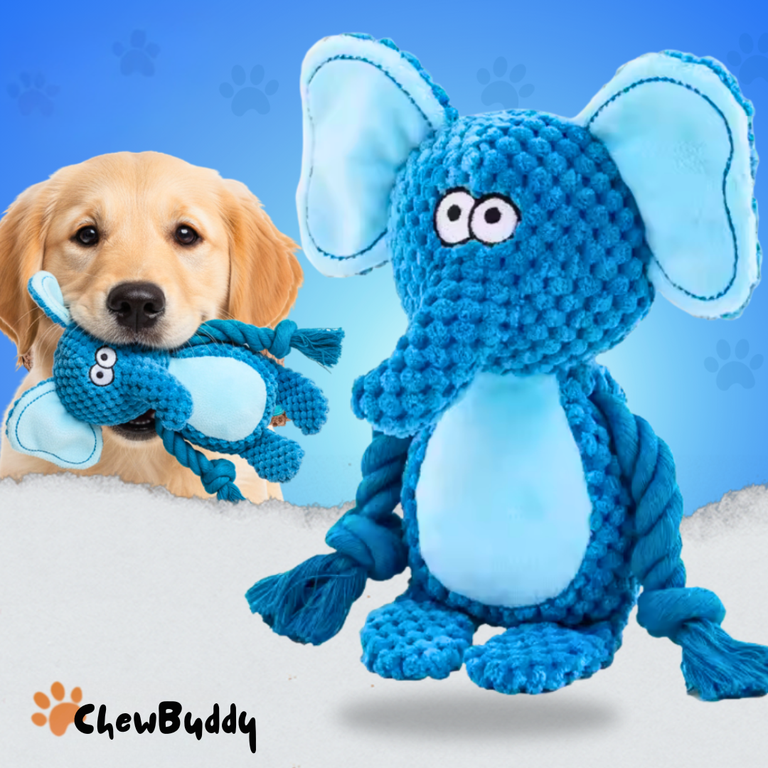 Chewbuddy – om te trekken, kauwen en lief te hebben