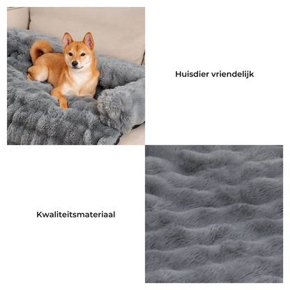 Rustgevend Hondenbed – Beschermt Bank & Geeft Ultiem Comfort