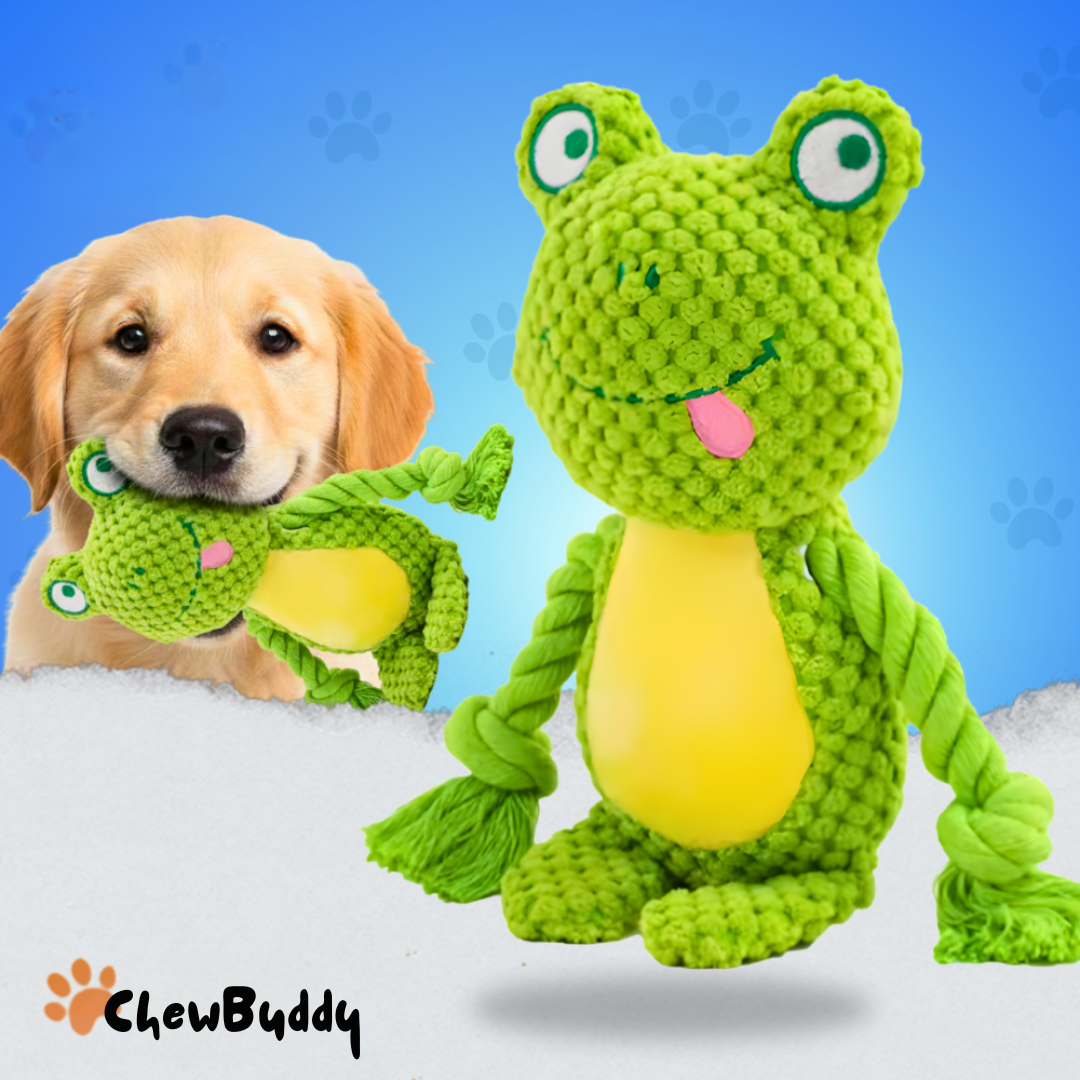 Chewbuddy – om te trekken, kauwen en lief te hebben