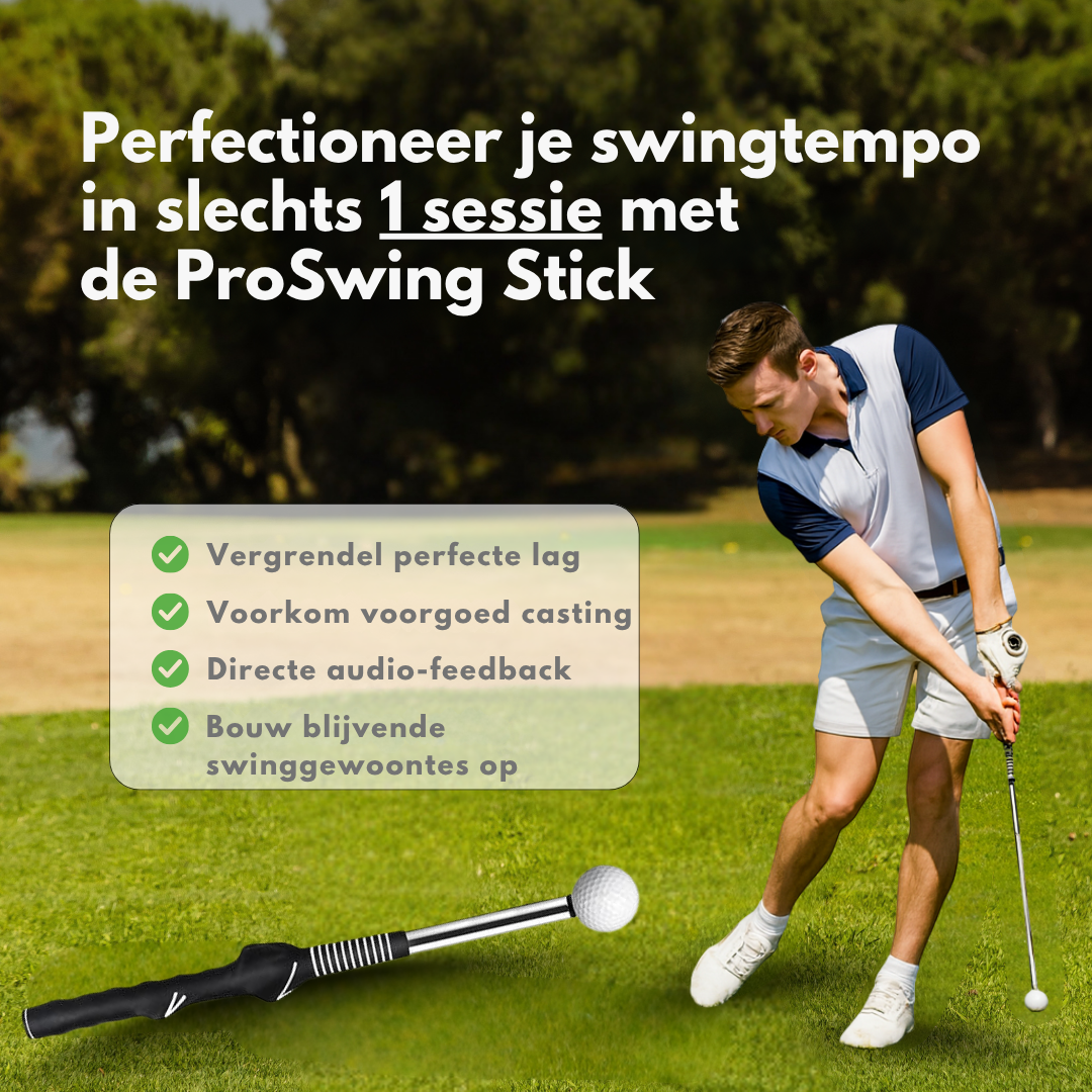 ProSwing Stick V2