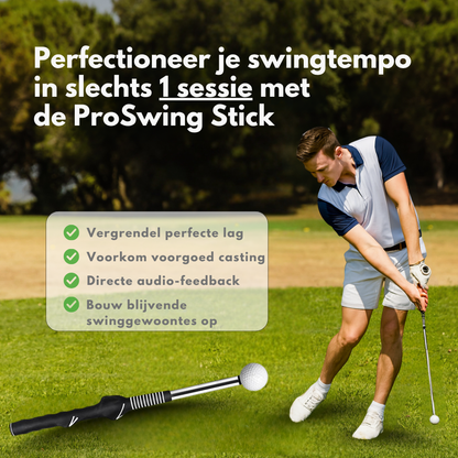 ProSwing Stick V2