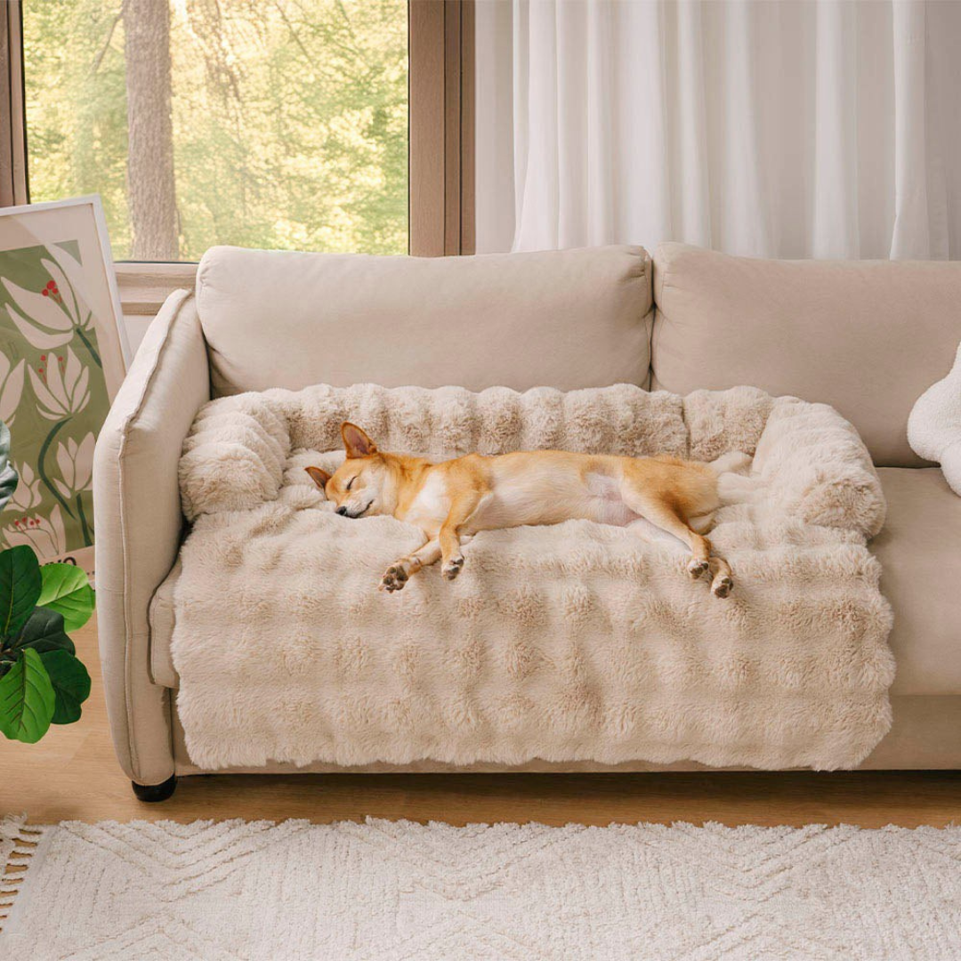 Rustgevend Hondenbed – Beschermt Bank & Geeft Ultiem Comfort