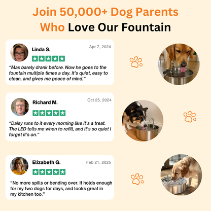 Honden Fontein + 2 GRATIS waterfilters