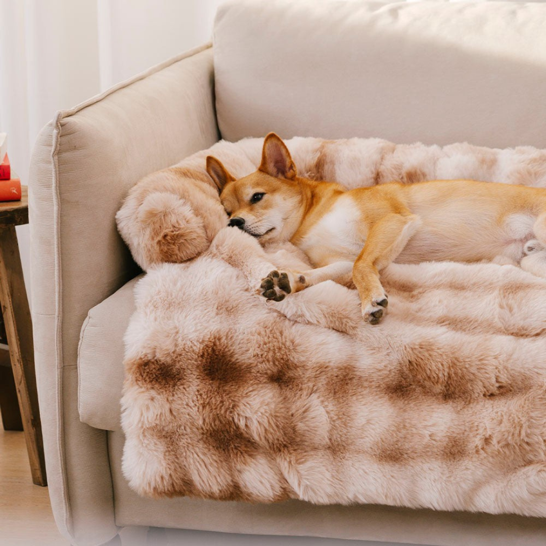 Rustgevend Hondenbed – Beschermt Bank & Geeft Ultiem Comfort