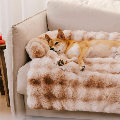Rustgevend Hondenbed – Beschermt Bank & Geeft Ultiem Comfort