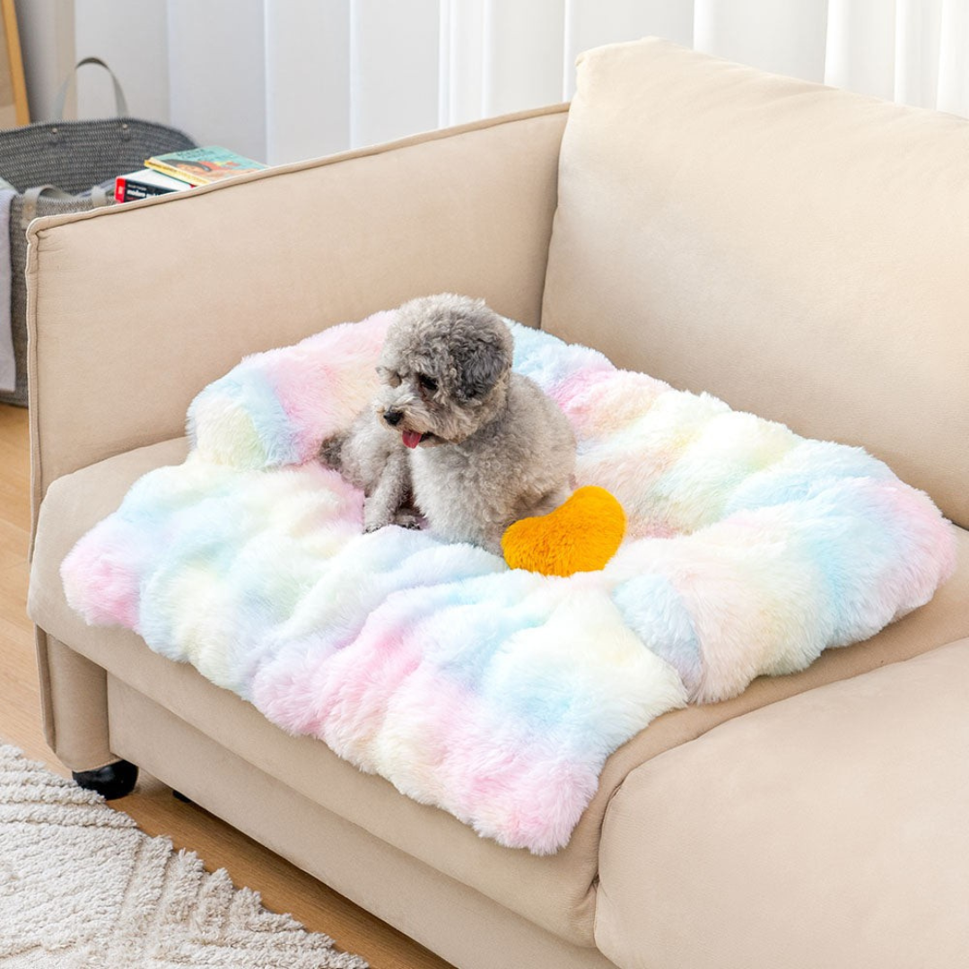 Rustgevend Hondenbed – Beschermt Bank & Geeft Ultiem Comfort