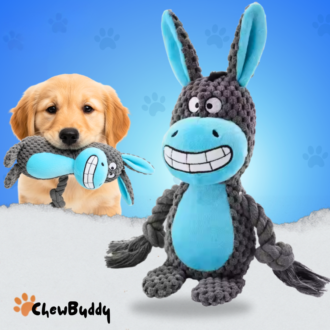 Chewbuddy – om te trekken, kauwen en lief te hebben