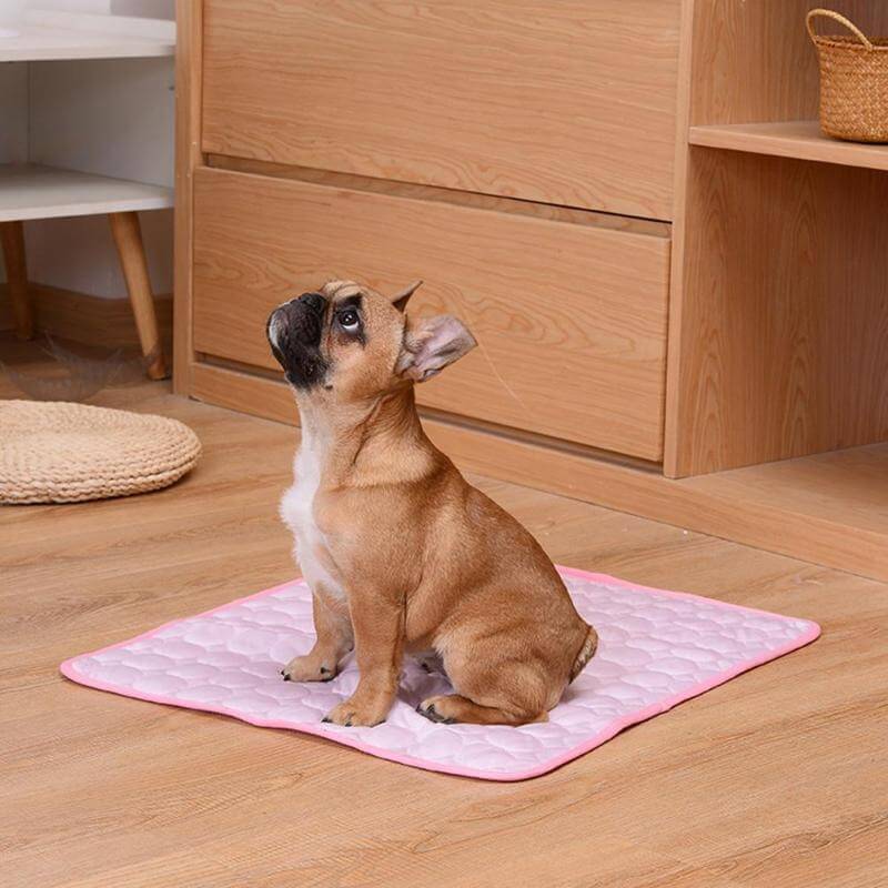 CoolTail® Warmte Absorberende Hondenmat voor Koeling en Comfort