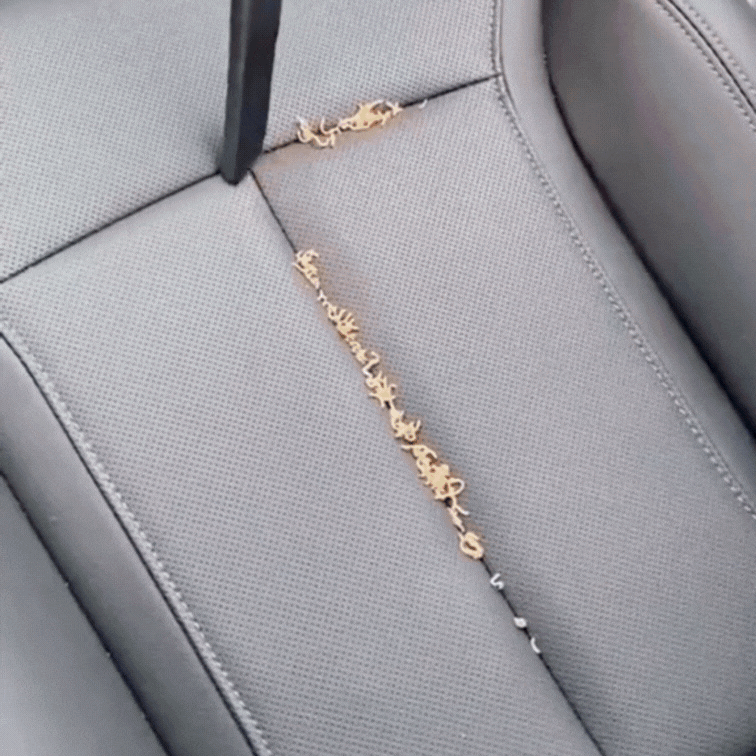 RidgeBlow Auto Stofzuiger & Blazer 12V Pro