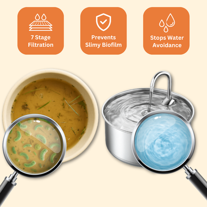 Honden Fontein + 2 GRATIS waterfilters