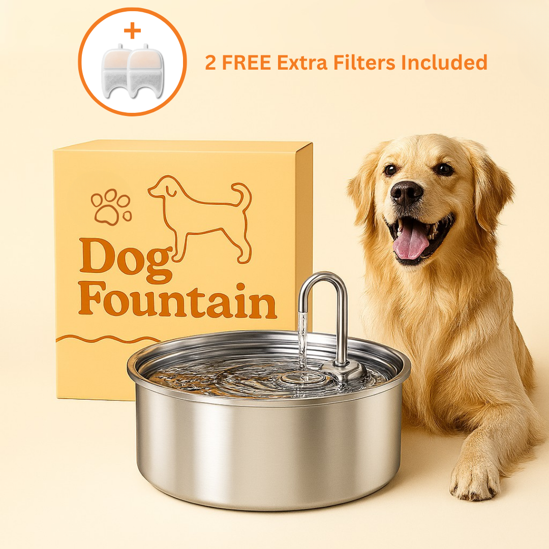 Honden Fontein + 2 GRATIS waterfilters